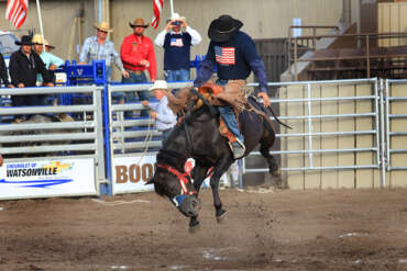 Concerts & Entertainment - Monterey County Fairgrounds