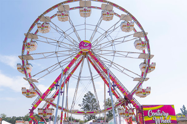 Century Wheel