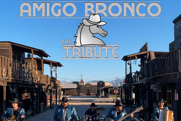 Amigo Bronco